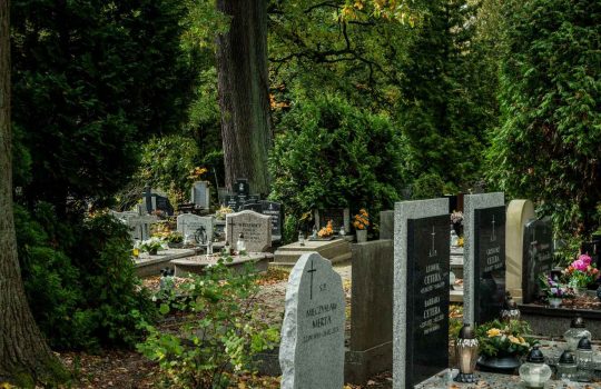 ייצור, התקנה ושיווק מצבות2